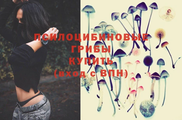 МДМА Новодвинск