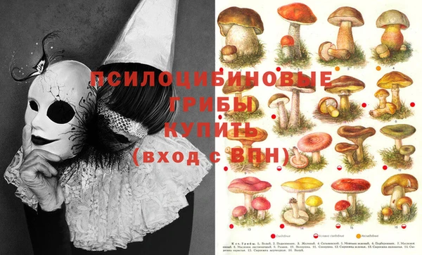 МДПВ Новокубанск