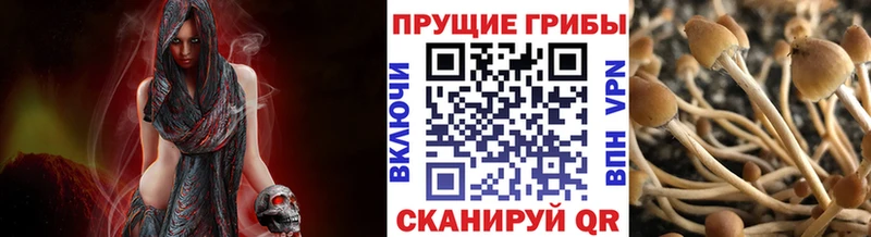 Галлюциногенные грибы Cubensis  купить наркоту  Озёры 